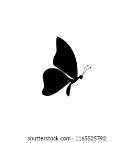 butterfly silhouette icon