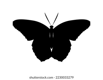 Butterfly silhouette icon. Sticker for social networks and instant messengers. Educational materials for children. Education and training, biology and zoology. Cartoon flat vector illustration