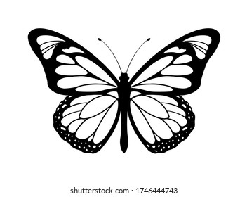 Butterfly Silhouette Icon. Vector Illustration.