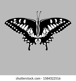 Butterfly silhouette icon. Vector Illustrations. 
