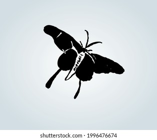 Butterfly Silhouette Icons Abstract Vector Icons