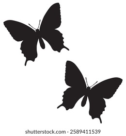 Butterfly Silhouette, Butterfly illustration, Butterfly icon Silhouette, Butterfly Silhouette illustration