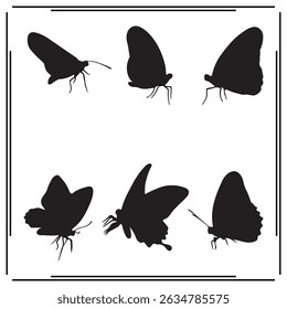 butterfly silhouette illustration isolated on white background