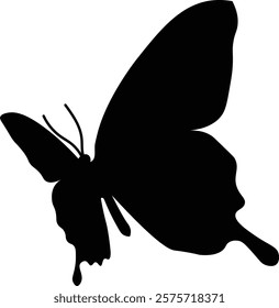 Butterfly silhouette illustration seen from below