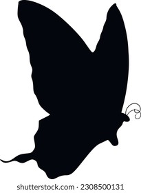 Butterfly silhouette. insect. vector graphics
