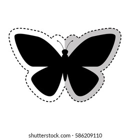 butterfly silhouette isolated icon