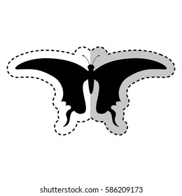 butterfly silhouette isolated icon