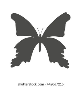 butterfly silhouette isolated icon design