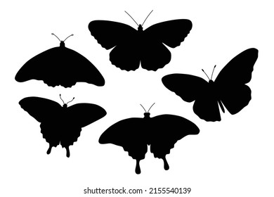Butterfly silhouette isolated on white vector