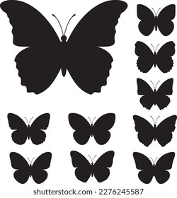 Butterfly silhouette isolated on white background