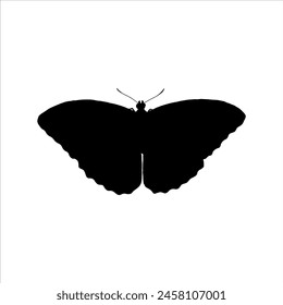 Butterfly silhouette isolated on white background. Butterfly line icon vector illustration.