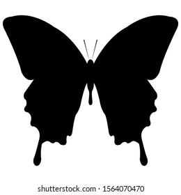 butterfly silhouette. isolated on white.vector