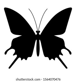 butterfly silhouette. isolated on white.vector