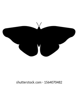 butterfly silhouette. isolated on white.vector