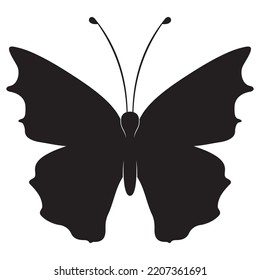 butterfly silhouette on white background