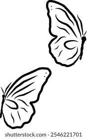 butterfly silhouette on white canvas