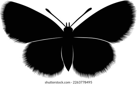 butterfly silhouette with open wings vector
