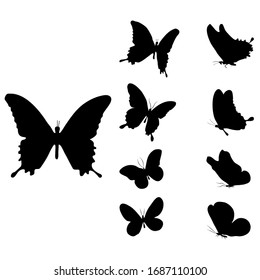 Butterfly silhouette set, design on Transpant background Vector