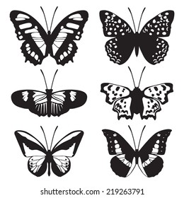 Butterfly silhouette set, butterfly icon collection, isolated on white background