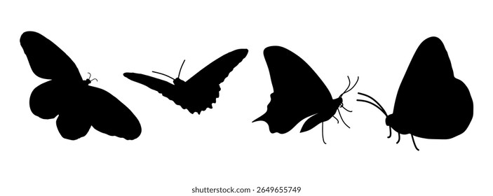 Butterfly silhouette set icon. butterfly symbol
