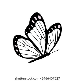 Schmetterling Silhouette Set. Schmetterling Vektorillustration. Schmetterling isolierte Vektorgrafik auf weißem Hintergrund.