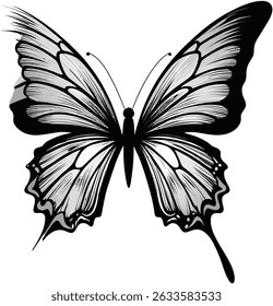 butterfly silhouette set. butterfly vector illustration. butterfly isolated vector on white background.