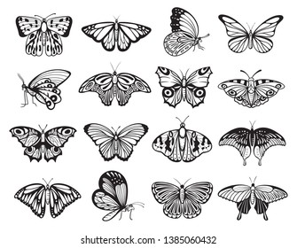 Butterfly silhouette set, wildlife ornament of nature decoration. Nectar feeding insect with two pairs of large wings. Vector hand drawn butterfly illustration