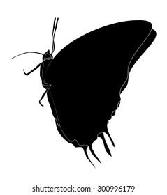 Butterfly silhouette vector