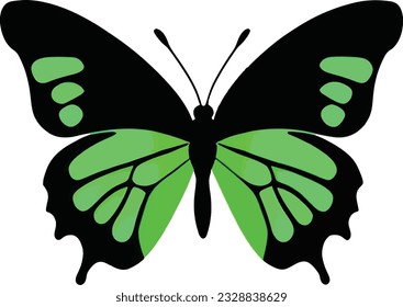 Butterfly Silhouette Vector Art Icons.