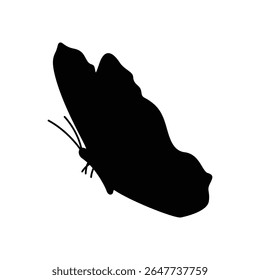 Butterfly Silhouette Vector, Black Insect Icon Isolated on White Background.