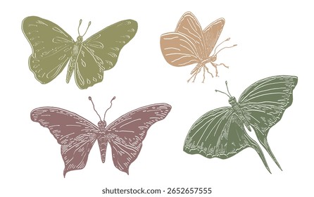 Borboleta Silhueta vetor clipart mão desenhada. Contornos borboleta definir Monarch, Glasswing, Swallowtail em cores verdes macias e beges. Lindos insetos para revistas de natureza, tecido e scrapbooking.