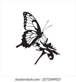 A butterfly silhouette vector icon design