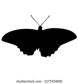 Butterfly silhouette vector icon eps
