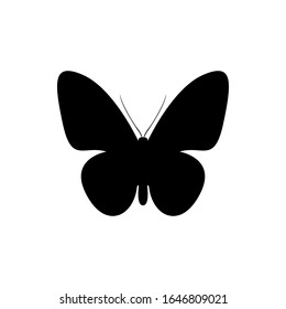 butterfly silhouette. vector illustration of butterfly