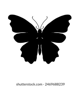 butterfly silhouette - vector illustration	