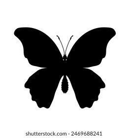 butterfly silhouette - vector illustration	