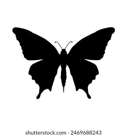 butterfly silhouette - vector illustration	