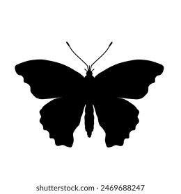 butterfly silhouette - vector illustration	