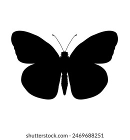 butterfly silhouette - vector illustration	