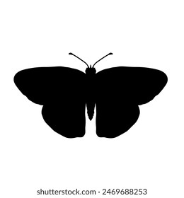 butterfly silhouette - vector illustration	