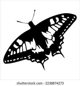 butterfly silhouette. butterfly vector illustration isolated on white background. beautiful and attractive butterfly logo. butterfly silhouette package