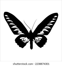 butterfly silhouette. butterfly vector illustration isolated on white background. beautiful and attractive butterfly logo. butterfly silhouette package