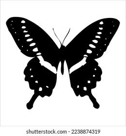 butterfly silhouette. butterfly vector illustration isolated on white background. beautiful and attractive butterfly logo. butterfly silhouette package