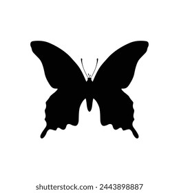 Butterfly Silhouette Vector Illustration White Background