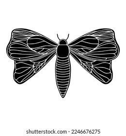 Butterfly silhouette. Vector Illustrations. Art.