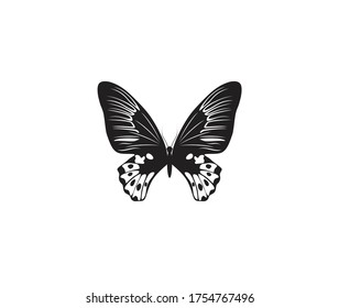 Butterfly silhouette vector on a white background