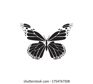 Butterfly silhouette vector on a white background