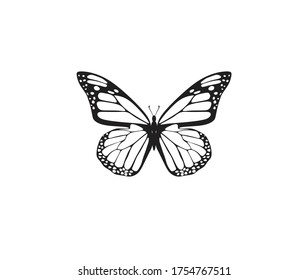 Butterfly silhouette vector on a white background