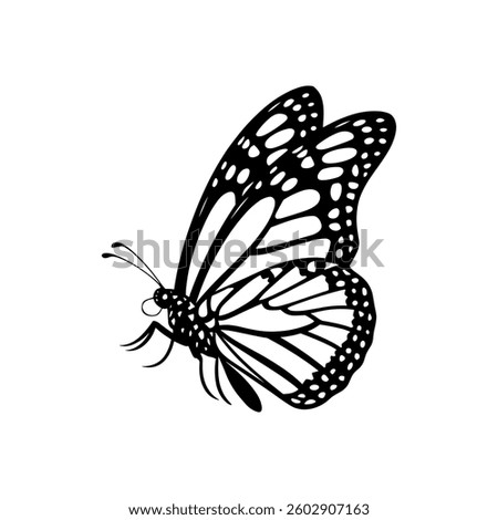 Butterfly Silhouette With A White Background.