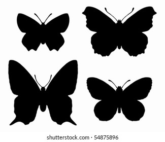 Butterfly silhouettes